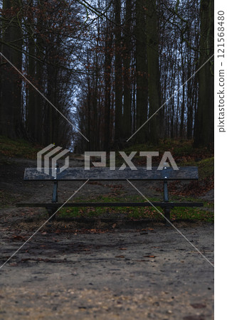 A wooden bench is sitting in a forest A wooden bench is sitting in a forest 121568480