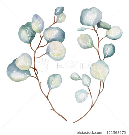 Hand-drawn watercolor illustration of two elegant eucalyptus branches with lush, aromatic leaves. Perfect for wedding invitations, botanical prints, minimalist home decor, romantic greeting cards. Hand-drawn watercolor illustration of two elegant eucalyptus branches with lush, aromatic leaves. Perfect for wedding invitations, botanical prints, minimalist home decor, romantic greeting cards. 121568673