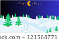 Winter Night 121568771