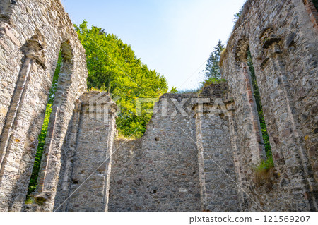The majestic ruins of Hoerbrunn Church rise amidst a tranquil setting, showcasing weathered stone walls framed by lush greenery, reflecting the passage of time. 121569207