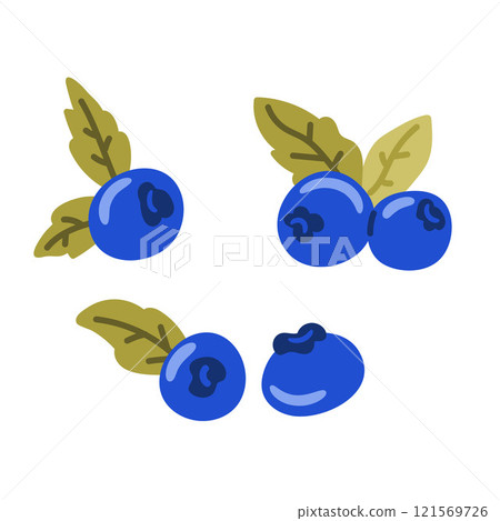 Set of blueberry fruits with green leaves, composition of marsh berry, natural nutrition, vitamin. Set of blueberry fruits with green leaves, composition of marsh berry, natural nutrition, vitamin. 121569726