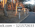 Oarai Precious Shrine 121572633