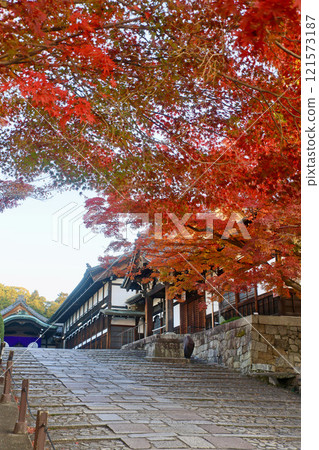 近海光明寺、青和殿、紅葉(京都府左京區) 近海光明寺、青和殿、紅葉(京都府左京區) 121573187