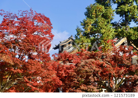 Konkai-Komyoji Temple, Seiwaden Hall, and autumn leaves (Sakyo Ward, Kyoto) Konkai-Komyoji Temple, Seiwaden Hall, and autumn leaves (Sakyo Ward, Kyoto) 121573189