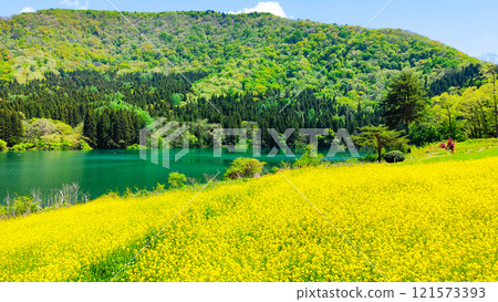 Spring Huronong Lake 121573393