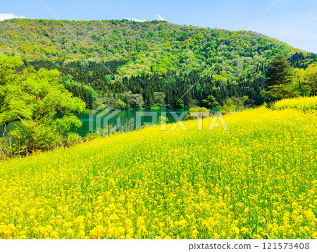 Spring Huronong Lake 121573408
