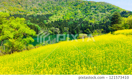 春天Huronong湖 121573410