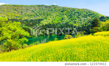 春天Huronong湖 121573411