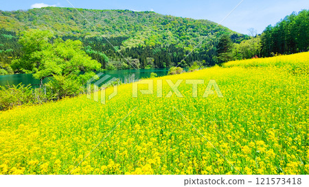 Spring Huronong Lake 121573418