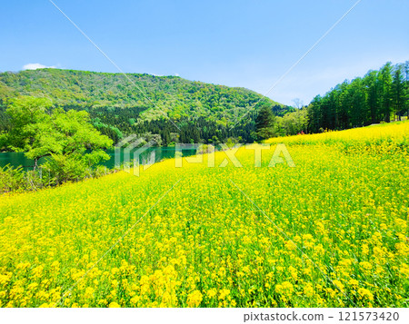 Spring Huronong Lake Spring Huronong Lake 121573420