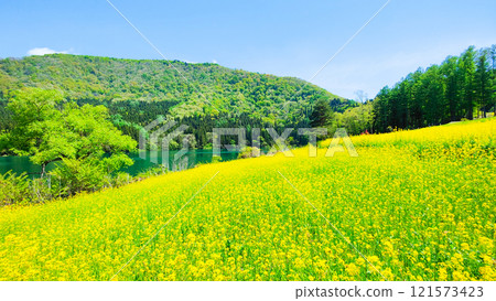 Spring Huronong Lake Spring Huronong Lake 121573423