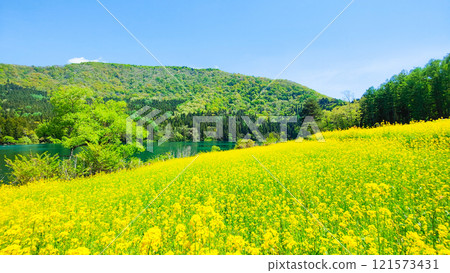 Spring Huronong Lake 121573431