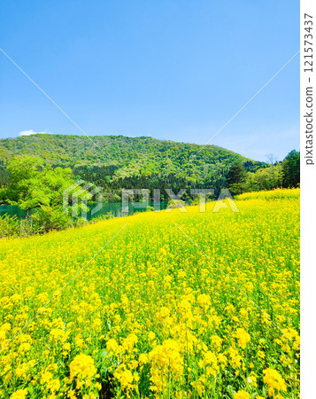 Spring Huronong Lake 121573437