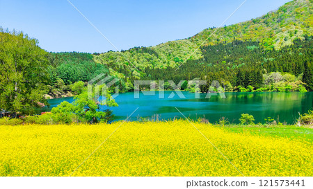 春天Huronong湖 春天Huronong湖 121573441
