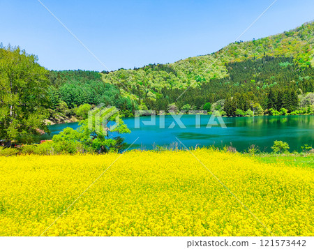 春天Huronong湖 121573442