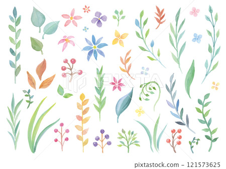 透明水彩手繪植物套裝 121573625