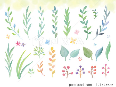 透明水彩手繪草和樹葉 121573626