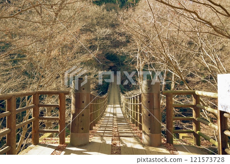 Shiomi Falls Suspension Bridge in late autumn (Hananuki Valley) Shiomi Falls Suspension Bridge in late autumn (Hananuki Valley) 121573728