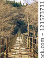 Shiomi Falls Suspension Bridge in late autumn (Hananuki Valley) 121573731