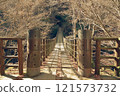 Shiomi Falls Suspension Bridge in late autumn (Hananuki Valley) 121573732