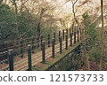 Shiomi Falls Suspension Bridge in late autumn (Hananuki Valley) 121573733