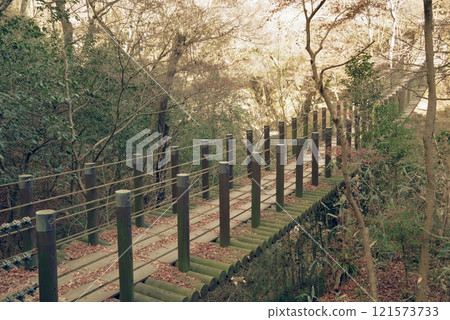 深秋的潮見瀑布吊橋(花樹溪谷) 深秋的潮見瀑布吊橋(花樹溪谷) 121573733