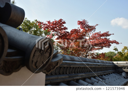 秋天的高台寺，從陵墓看到的楓樹（京都市東山區） 121573946