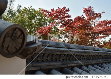秋天的高台寺,從陵墓看到的楓樹(京都市東山區) 秋天的高台寺,從陵墓看到的楓樹(京都市東山區) 121573949