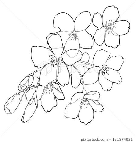 櫻花圖 櫻花圖 121574021