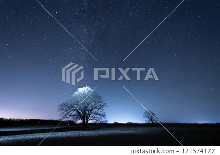 Haruni tree and Milky Way 121574177