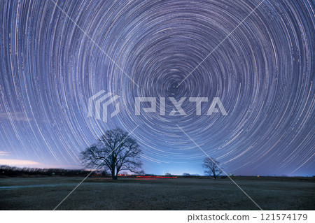 Japanese elm tree and star trails 121574179