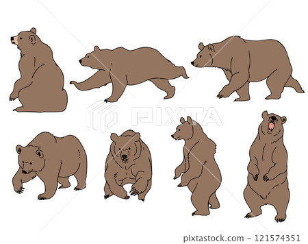 棕熊套裝 121574351