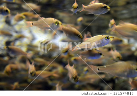 Crouchingness Crouchingness 121574915