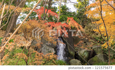 Kitanomaru公園秋葉 121575677