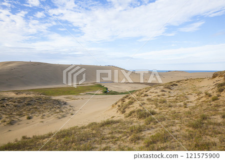 Autumn scenery of Tottori Sand Dunes Tottori Prefecture Tottori Sand Dunes 121575900