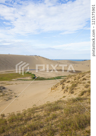 Autumn scenery of Tottori Sand Dunes Tottori Prefecture Tottori Sand Dunes 121575901