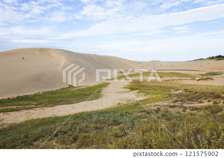 Autumn scenery of Tottori Sand Dunes Tottori Prefecture Tottori Sand Dunes 121575902