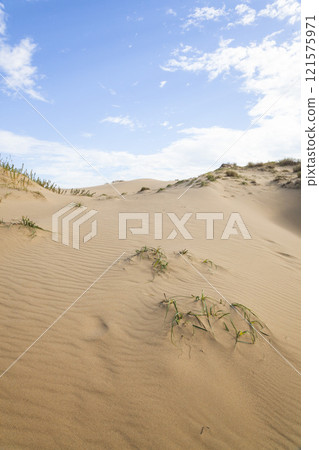 Autumn scenery of Tottori Sand Dunes Tottori Prefecture Tottori Sand Dunes 121575971