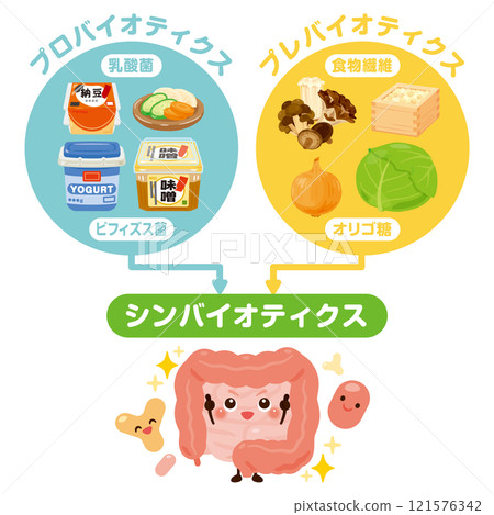 Probiotics, prebiotics and synbiotics with intestine character illustration 121576342