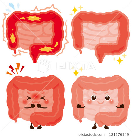 A character with an overactive intestine and a character with a healthy intestine 121576349
