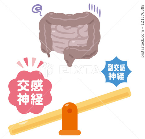 腸道插圖,其中交感神經占主導地位,其功能減慢 腸道插圖,其中交感神經占主導地位,其功能減慢 121576388
