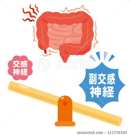 副交感神經占主導地位並過度勞累的腸道插圖 121576389