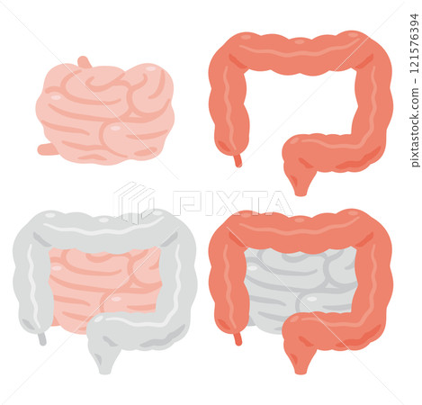 健康美麗的大腸和小腸插圖集 健康美麗的大腸和小腸插圖集 121576394