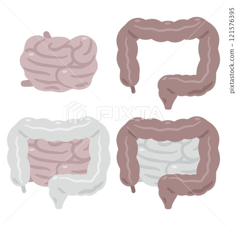 不健康的大腸和小腸插圖集 121576395