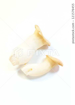 King oyster mushroom 121576455
