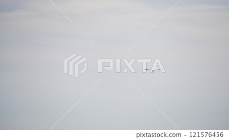 Bird's flight 121576456