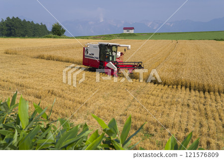 Harvest at once 121576809