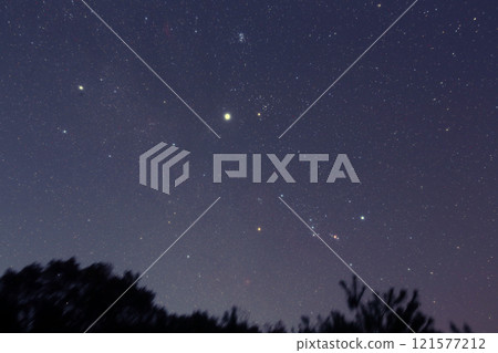 Ascending winter constellation 121577212