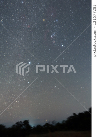 Orion to Canopus 121577283