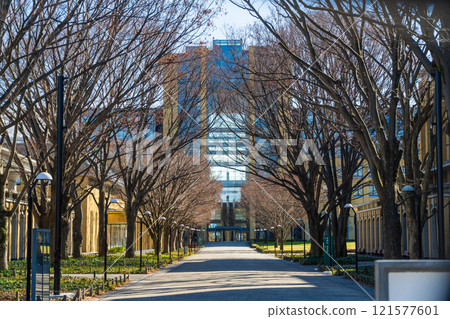 青山學院大學相模原校區正門 121577601